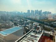 Gangnam Garosu-gil Sinsa and Han river