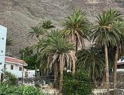Top Valle Gran Rey