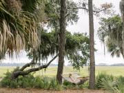 Top Bluffton