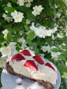 Top Dwernik Top Dwernik