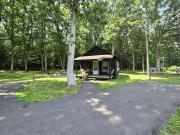 Swallow Falls Cabin 2