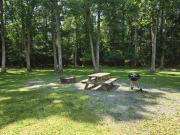 Swallow Falls Cabin 2