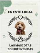 Top Porriño Top Porriño