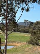 Grape Farm Cottage with picturesque vineyard views