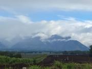 Top Damilag Top Damilag