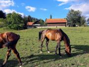 Ranc Polo Velka sobe