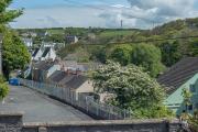 Top Little Haven