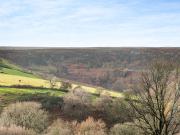 Top Westerdale