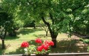 Ferienhaus mit Garten & Parkplatz, für Paare, Familien und Hunde