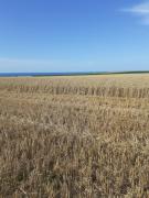 Top Senneville-sur-Fécamp