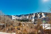 Top Vail