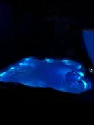 7 Clos Na Feirme Four Bedroom House With Hot Tub