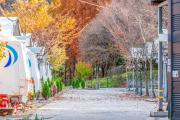 Daejeon Dreaming Farmer Camping Site