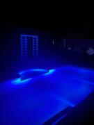 Encontro dos passaros