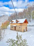 Vikend kuca pod lipom