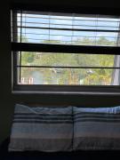 Top North Palm Beach