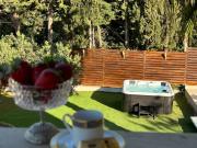 Delux with private pool