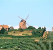 appartement en pleine nature
