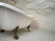 Top Algodonales Top Algodonales