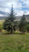 Top Potrerillos