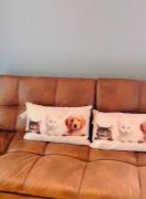 Top Cartagena de Indias