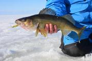 Top Lac du Flambeau