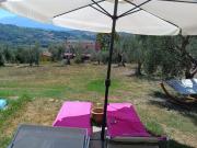 La Casa delle Storie