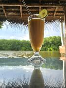 Ginger Harmony Guesthouse and Cafe