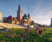 Top Szczecin