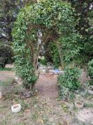 La Bastide du Clos Saint Michel