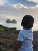 Top Fernando de Noronha