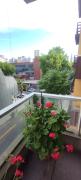 Top Mar del Plata