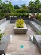 Zoe Studio Mesavirre