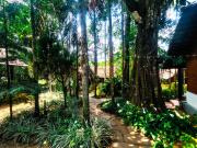 Top Madikeri