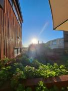 Top Pichilemu Top Pichilemu