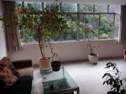 Vista verde em Botafogo