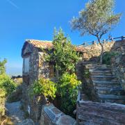 Top Talasnal Top Talasnal