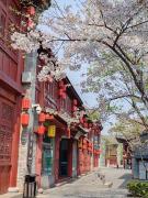 Top Luoyang
