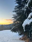 Top Mainsdorf