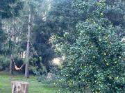 Top San Miguel del Monte