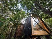 Top Coñaripe Top Coñaripe