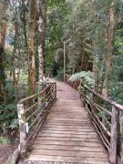 Top Puerto Montt Top Puerto Montt