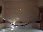 barefoot jungle studios