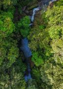 Top Dos Brazos Top Dos Brazos