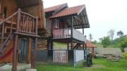 Top Tanjung