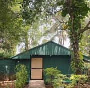 Top Wayanad