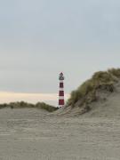 Top Hollum Top Hollum