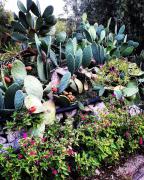 Top Castellana Grotte