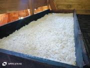 Top El Canelo Top El Canelo