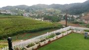 Top Ooty